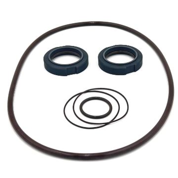 Picture of Waukesha 2105 Type 4 'BASIC' Dbl Seal Kit - CBN/Viton