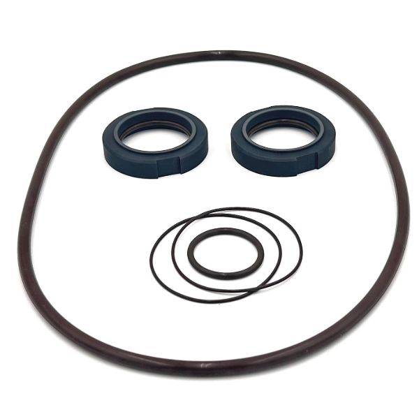 Picture of Waukesha 2105 Type 4 'BASIC' Dbl Seal Kit - CBN/Viton