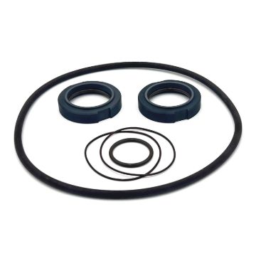 Picture of Waukesha 2075/2085 Type 4 'BASIC' Dbl Seal Kit - CBN/Viton