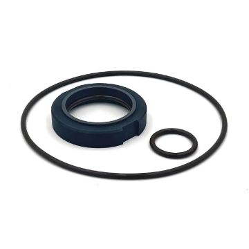 Picture of Waukesha 2045 Type 1 'BASIC' Sgl Seal Kit - CBN/Viton