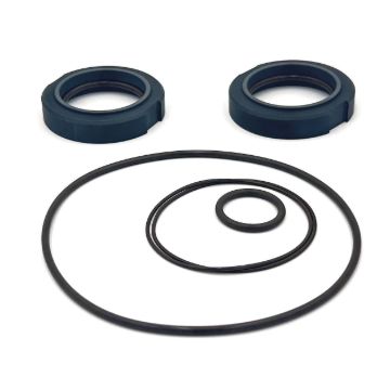 Picture of Waukesha 2045 Type 4 'BASIC' Dbl Seal Kit - CBN/Viton