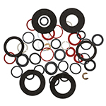 Sanitary Gaskets & O-Rings